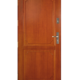Drzwi wejściowe DZ 2