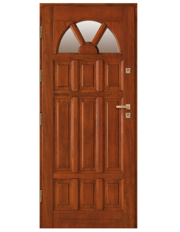 Drzwi wejściowe DZ 41