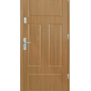 Drzwi wejściowe P40 Zebrano